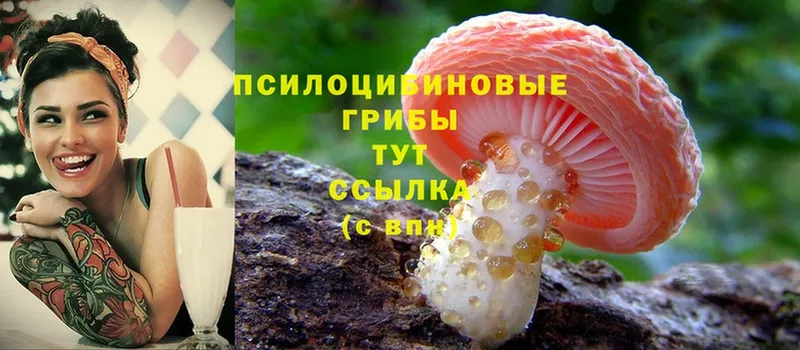 Галлюциногенные грибы Cubensis  Нюрба 